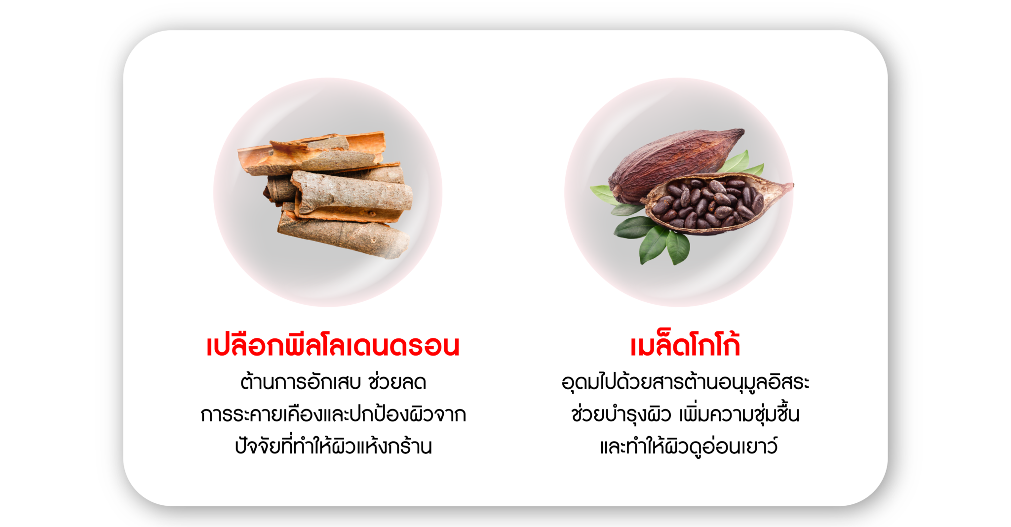 extract-01