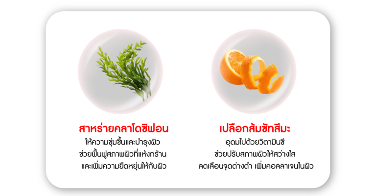 extract-02