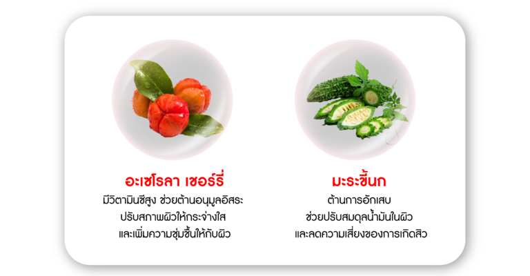 extract-03