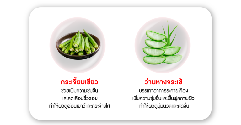 extract-04