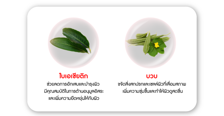 extract-05