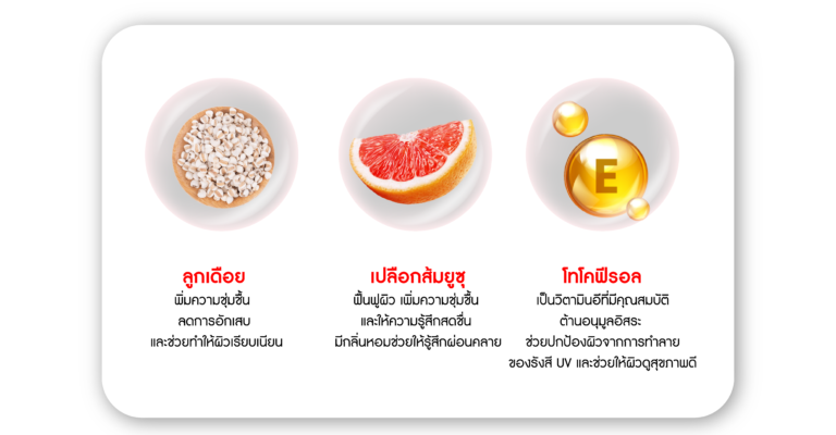 extract-06
